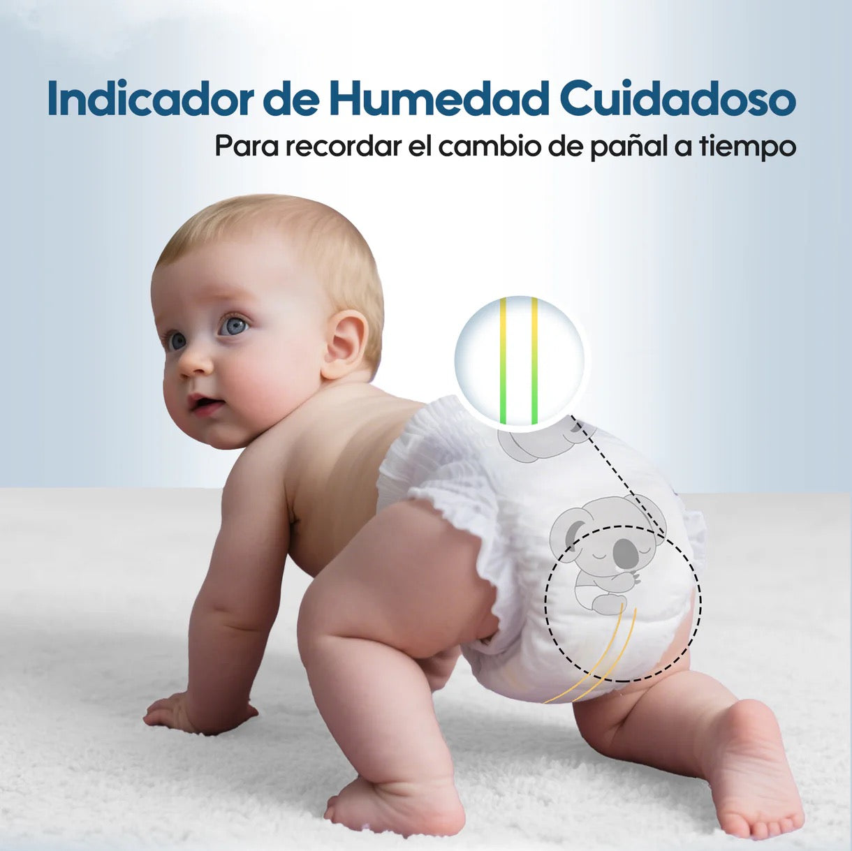 Pack Aiwibi | 15 Días de Tranquilidad