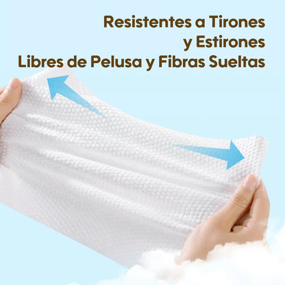 Toallitas Húmedas Aiwibi Papaya y Agua de Manantial (pack 3 uds)